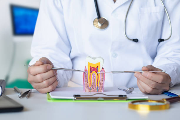 Best Emergency Dental Services for Seniors in Brookhaven, WV